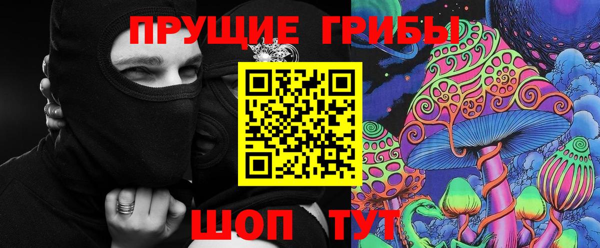Галлюциногенные грибы Cubensis Усть-Кут